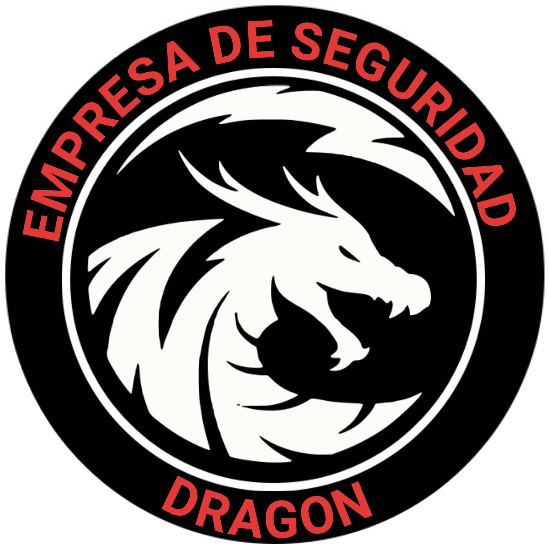 Dragon Seguridad
